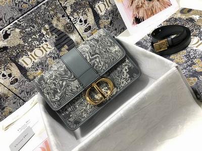 DIOR Handbags 480